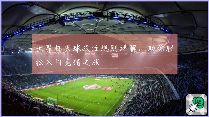 世界杯买球投注规则详解，助你轻松入门竞猜之旅