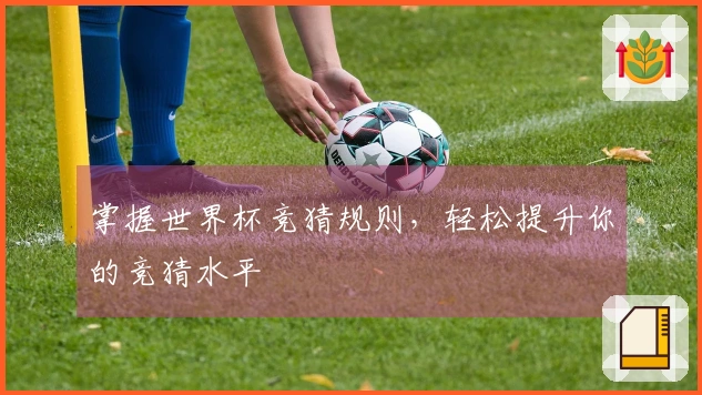 掌握世界杯竞猜规则，轻松提升你的竞猜水平