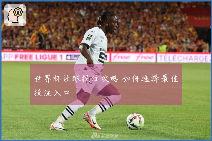 世界杯让球投注攻略 如何选择最佳投注入口