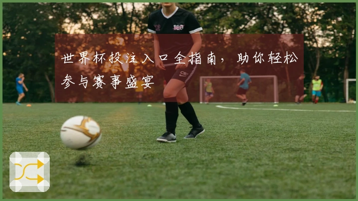 世界杯投注入口全指南，助你轻松参与赛事盛宴