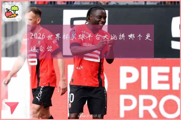 2026世界杯买球平台大比拼 哪个更适合你
