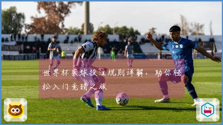 世界杯买球投注规则详解，助你轻松入门竞猜之旅