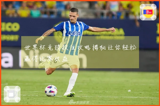 世界杯竞猜投注攻略揭秘让你轻松赢得比赛收益