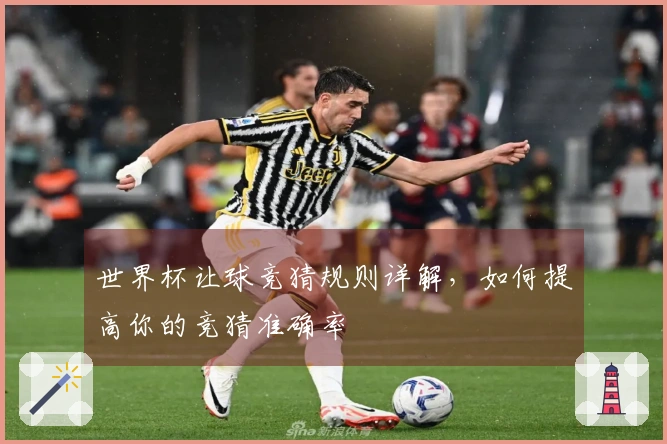 世界杯让球竞猜规则详解，如何提高你的竞猜准确率